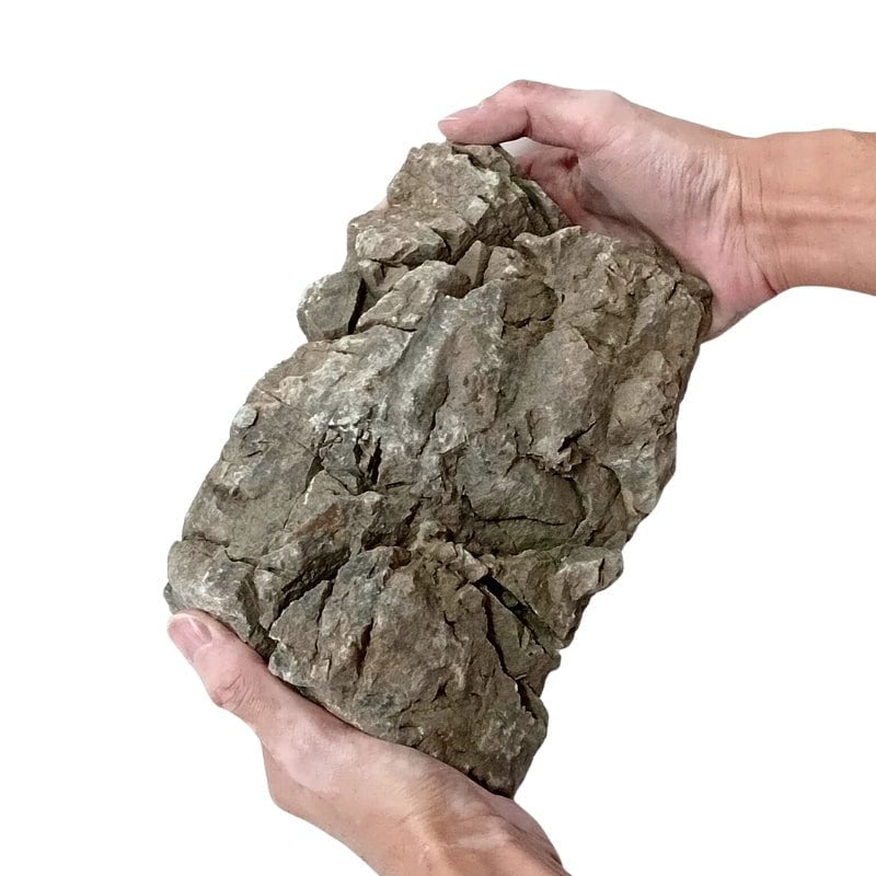 ANS Turly Rocks 20kg Box (S , M , L)