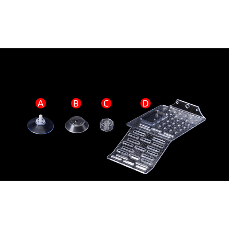 ANS Turtle Island - S/M/L