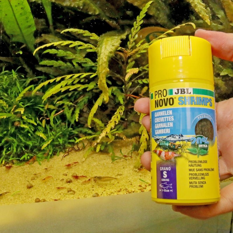 JBL ProNovo Shrimps Grano S (Ideal Shrimp Food)