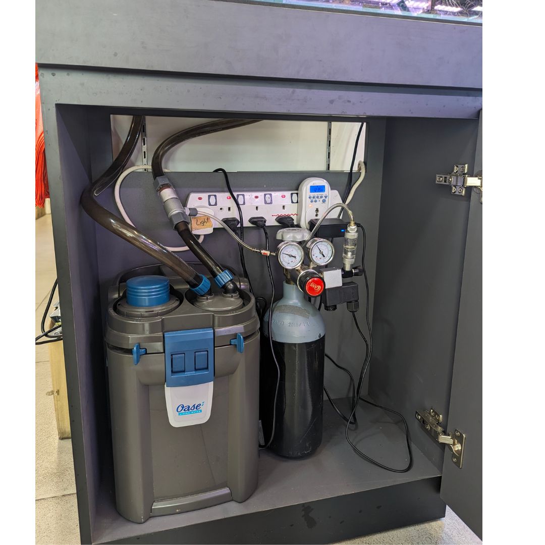 ANS Zen Cabinet - 60x30x80cm