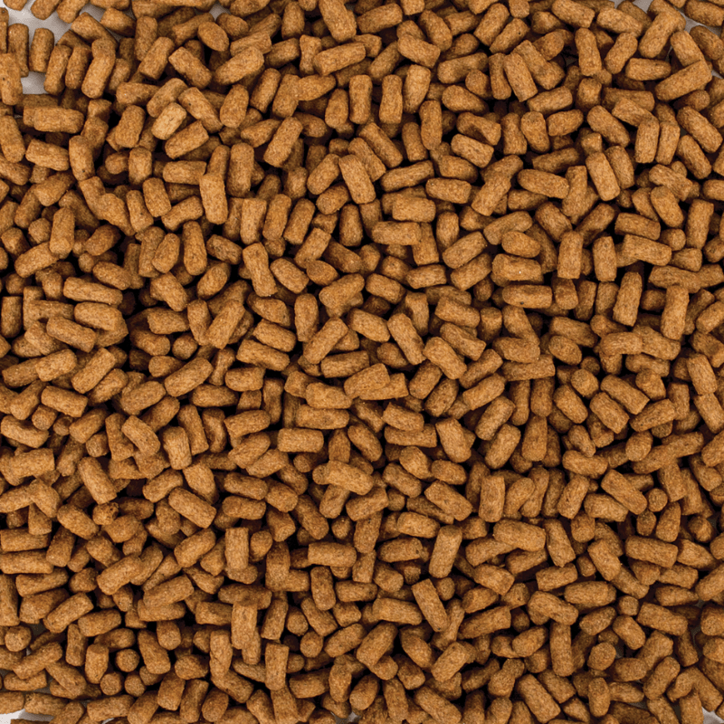 Tropical Biorept Supreme Young (Premium turtle feed, small pellet)