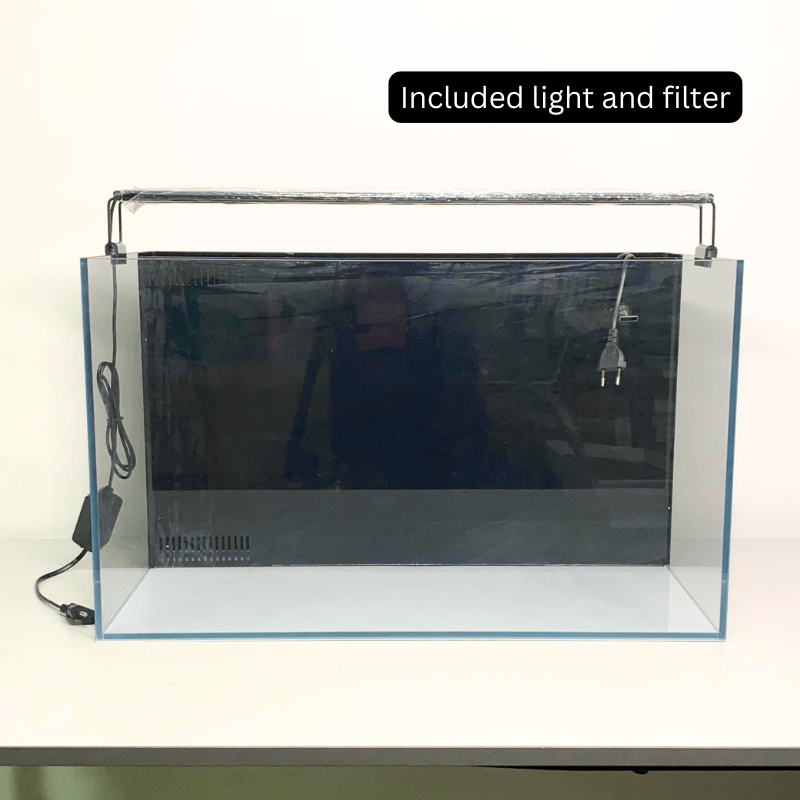 ANS Aquacube Elate B60 (60x30x36cm) Back IOS Tank