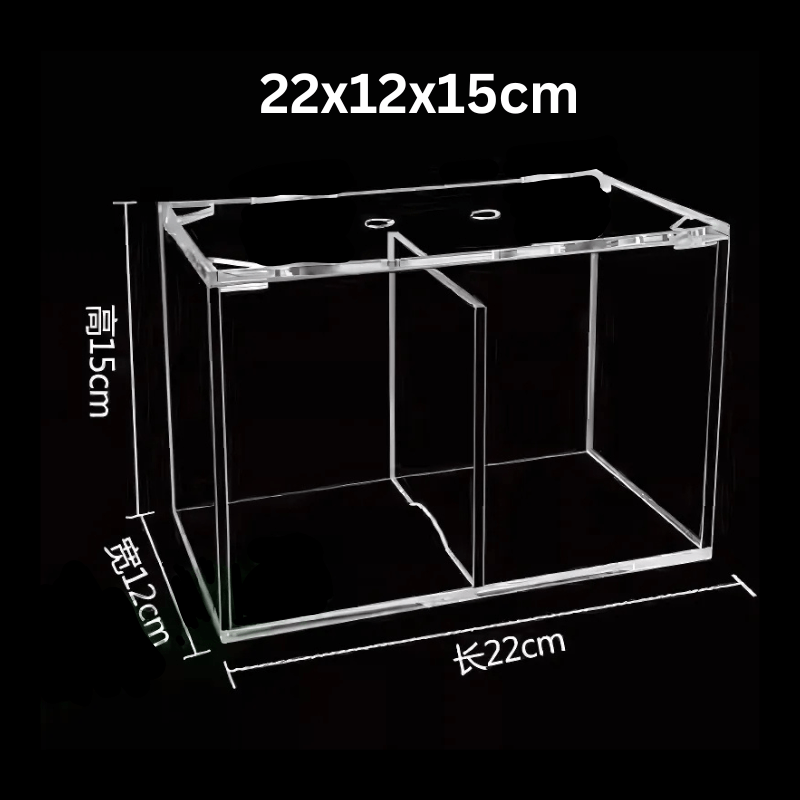 ANS Arcylic Tank 2-compartment 22x12x15cm (B2212)