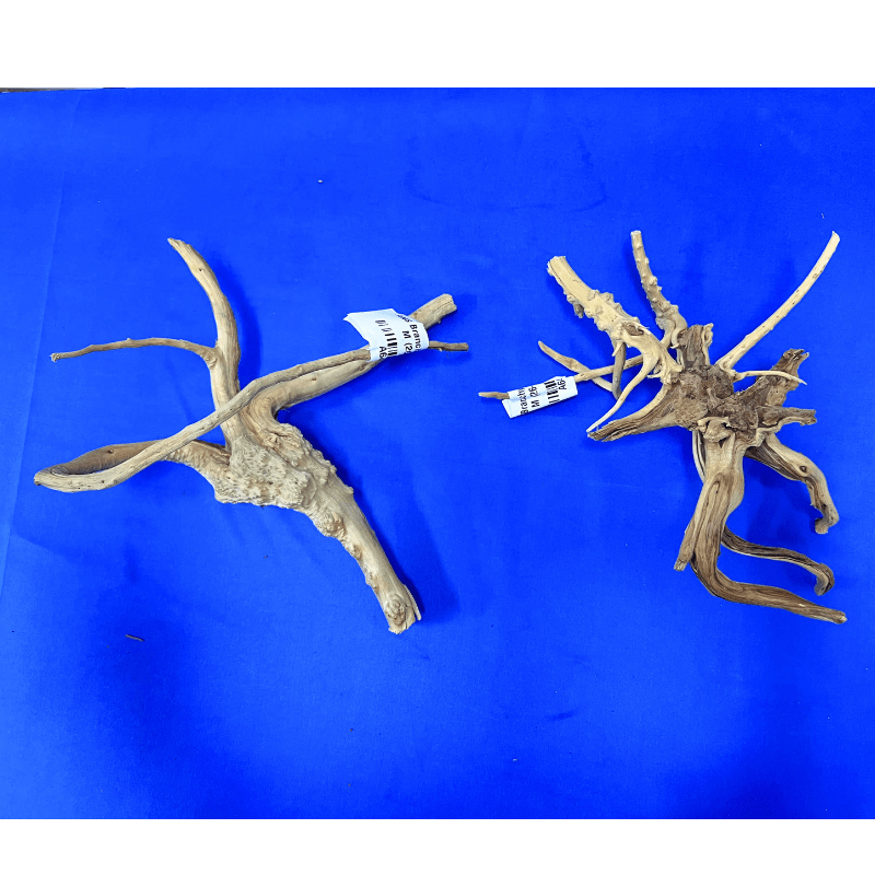 ANS Branchy Driftwood M (26-35cm)