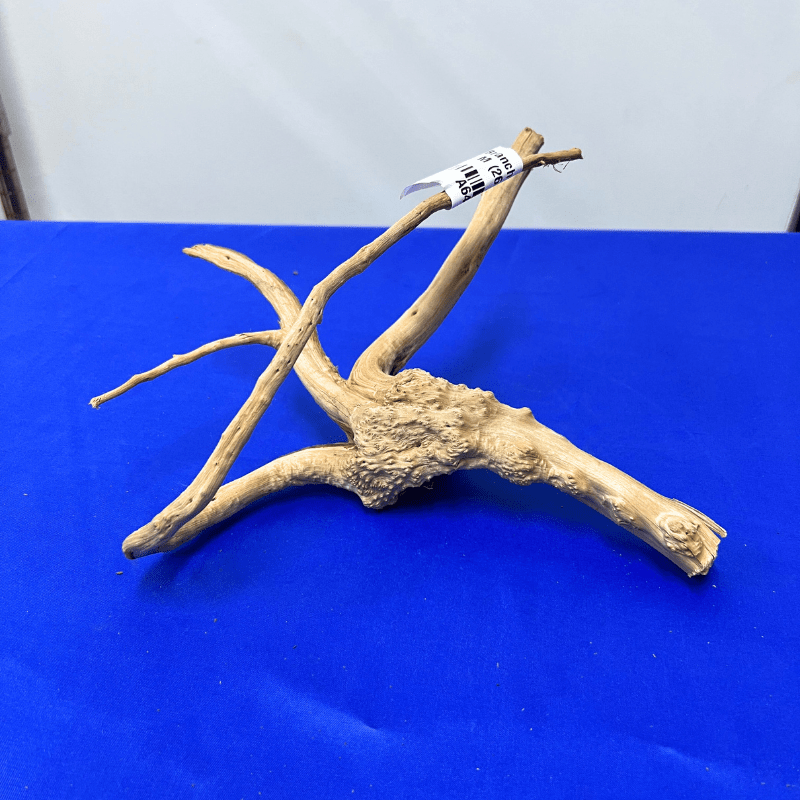 ANS Branchy Driftwood M (26-35cm)