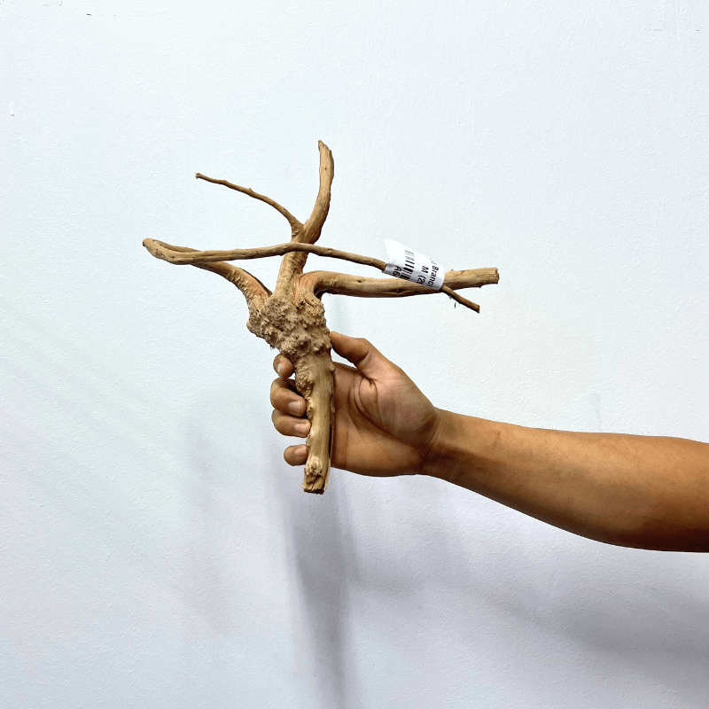 ANS Branchy Driftwood M (26-35cm)