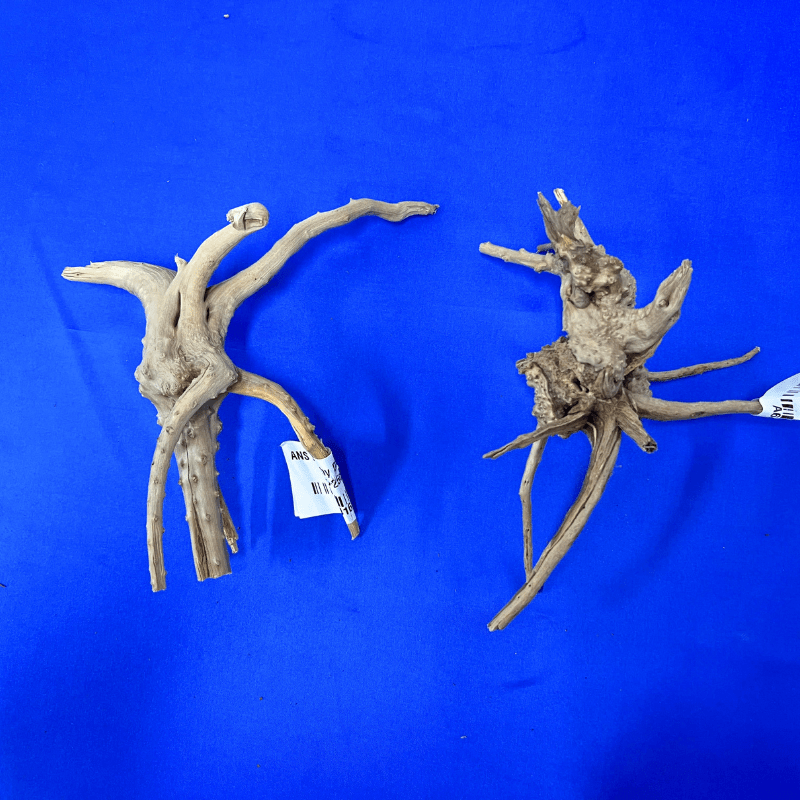 ANS Branchy Driftwood S (15-25cm)