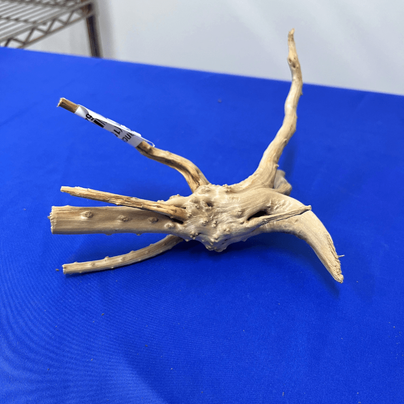ANS Branchy Driftwood S (15-25cm)