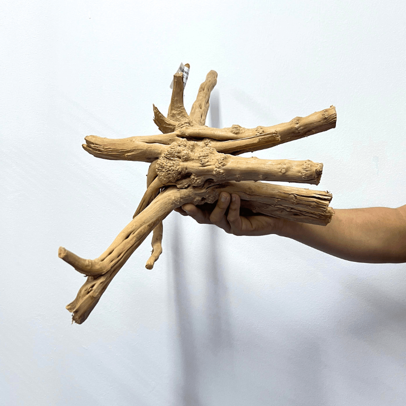 ANS Branchy Driftwood XL (46-55cm)