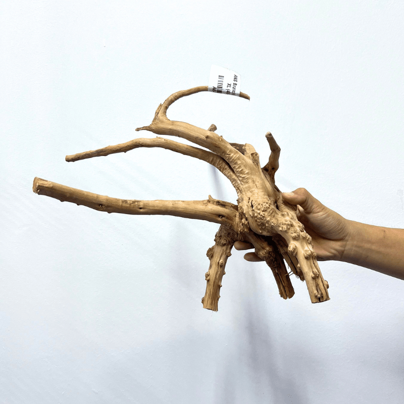 ANS Branchy Driftwood XL (46-55cm)