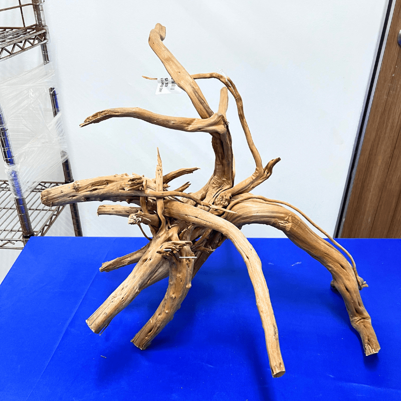 ANS Branchy Driftwood XXL (56-70cm)