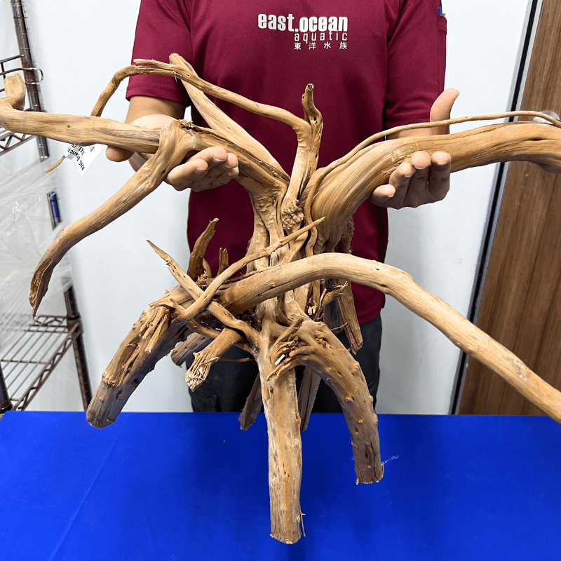 ANS Branchy Driftwood XXL (56-70cm)