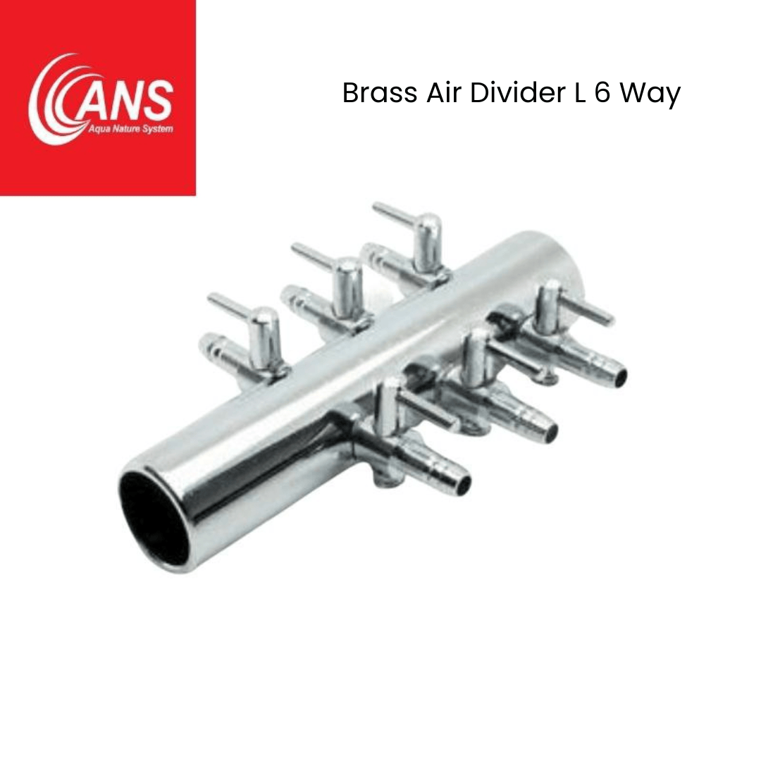 ANS Brass Air Divider (M/L)