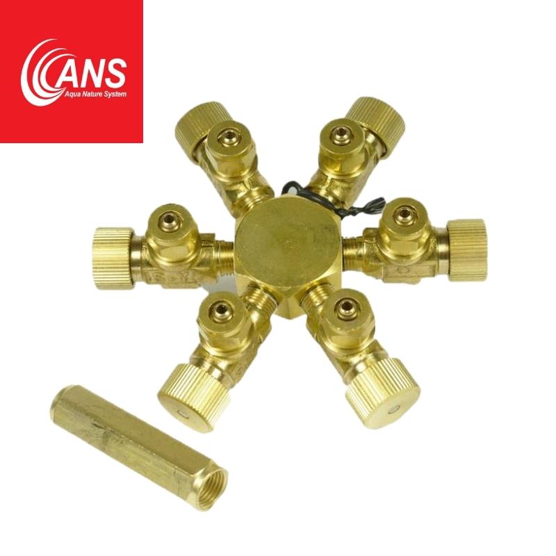 ANS Brass CO2 6 Way Divider