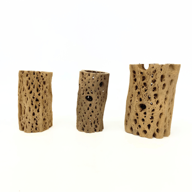 ANS Cholla Tunnel Tubes Single S/M (driftwood)