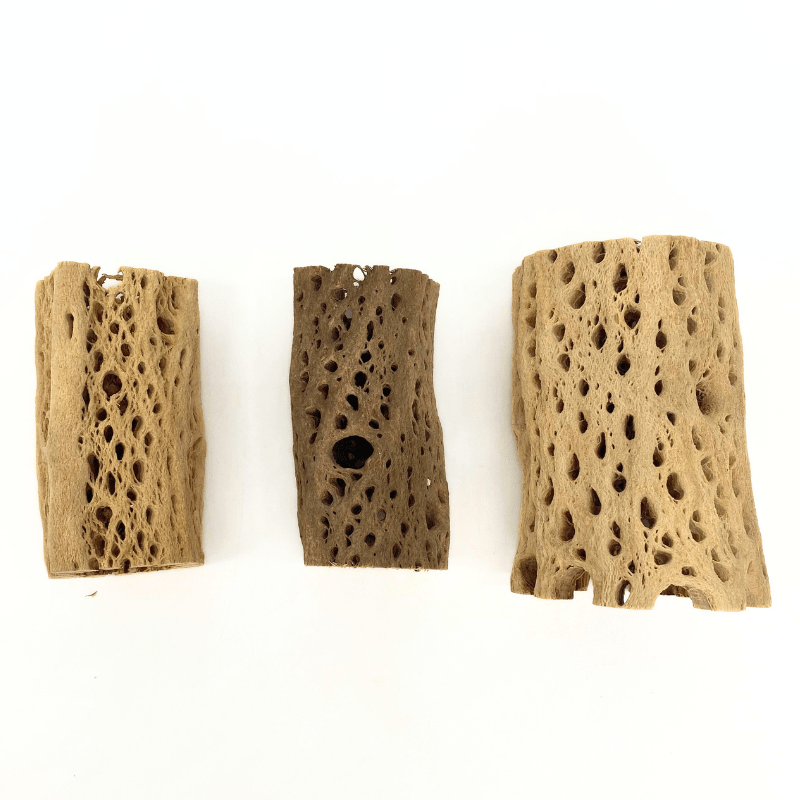 ANS Cholla Tunnel Tubes Single S/M (driftwood)