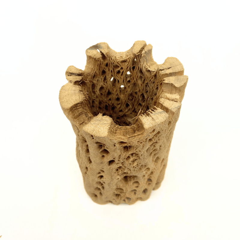 ANS Cholla Tunnel Tubes Single S/M (driftwood)