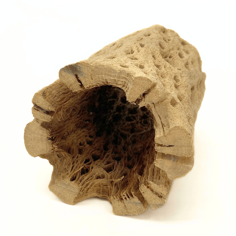 ANS Cholla Tunnel Tubes Single S/M (driftwood)