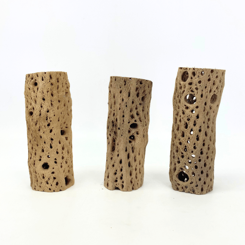 ANS Cholla Tunnel Tubes Single S/M (driftwood)