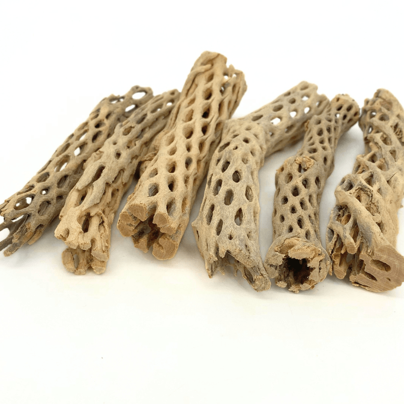 ANS Cholla Wood S/M (shrimp wood)