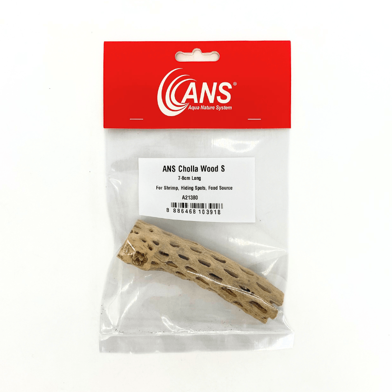 ANS Cholla Wood S/M (shrimp wood)