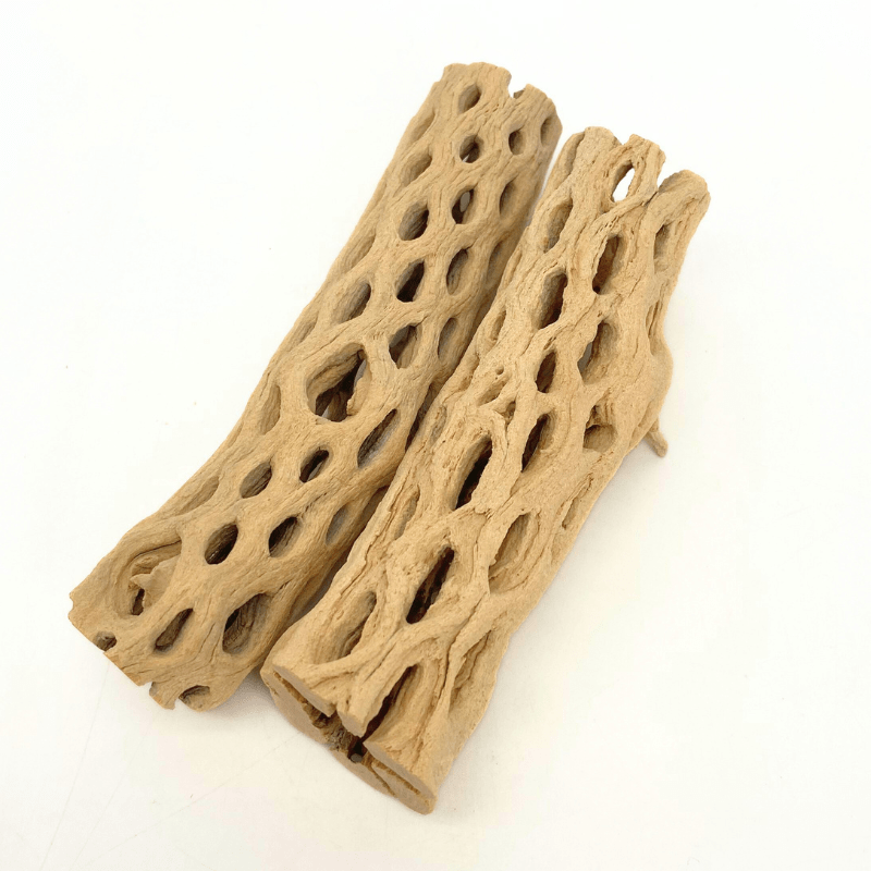 ANS Cholla Wood S/M (shrimp wood)