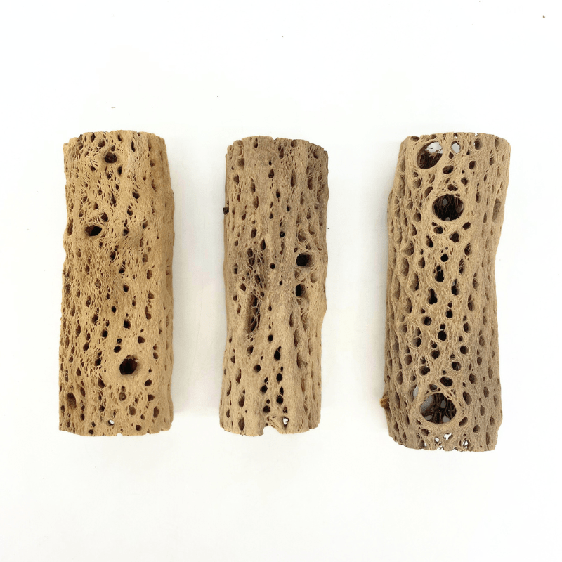 ANS Cholla Tunnel Tubes Single S/M (driftwood)