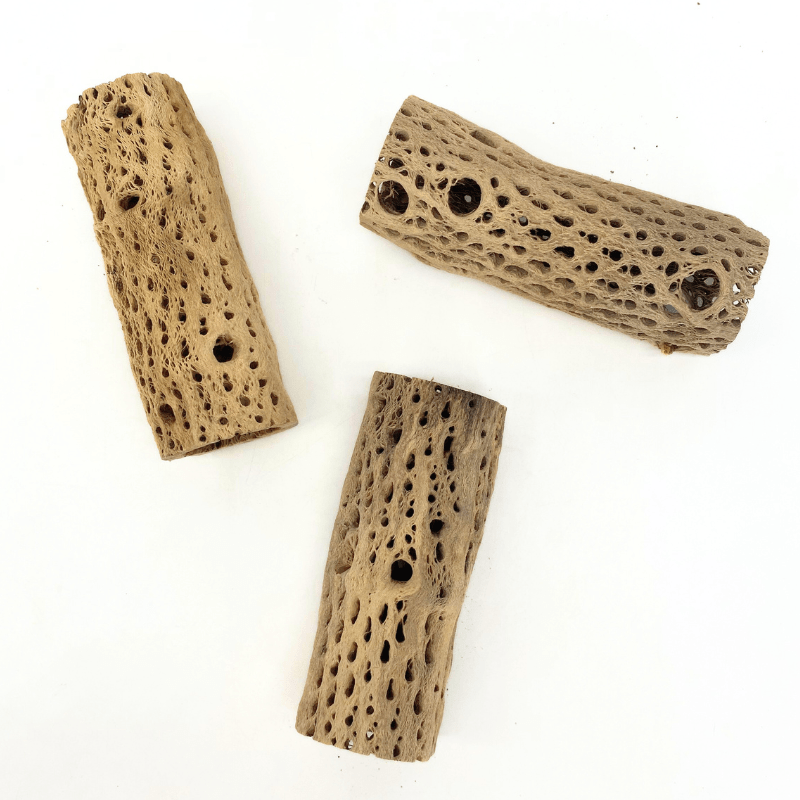 ANS Cholla Tunnel Tubes Single S/M (driftwood)