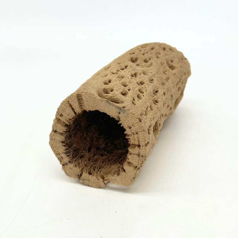ANS Cholla Tunnel Tubes Single S/M (driftwood)