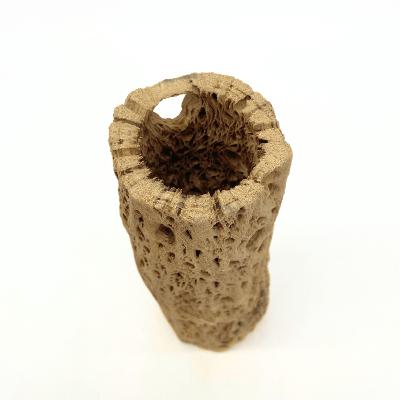 ANS Cholla Tunnel Tubes Single S/M (driftwood)