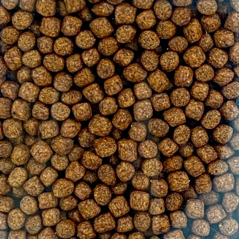 ANS Colour Feed 21Days M 930G