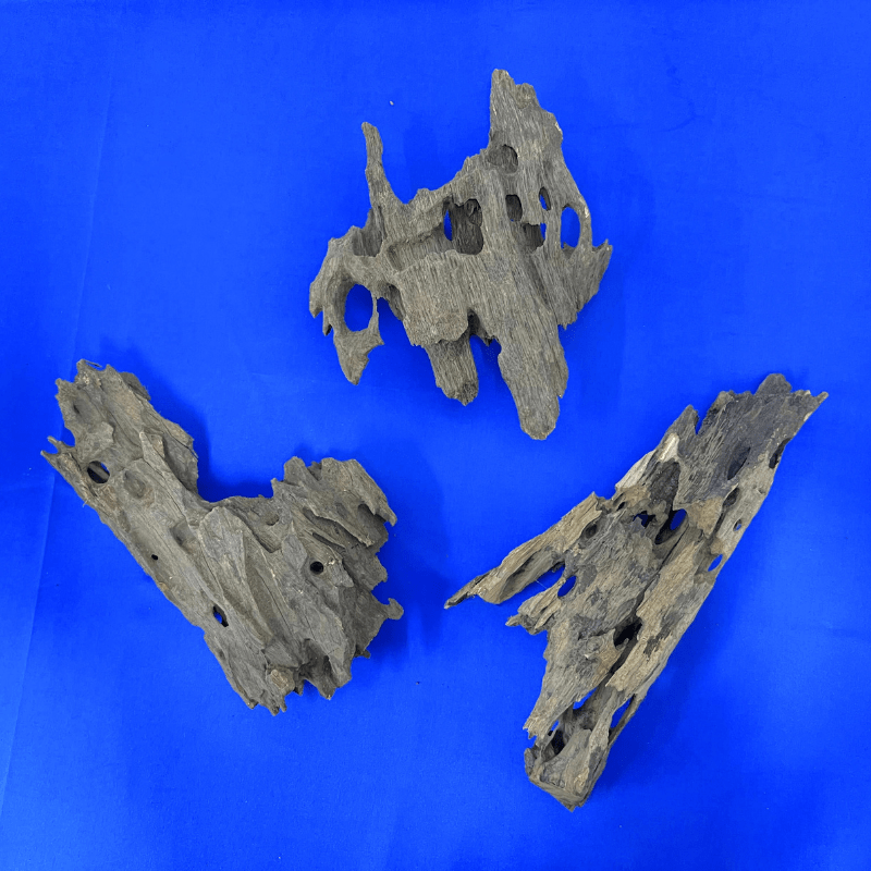 ANS Dragon Wood M (20-30cm)