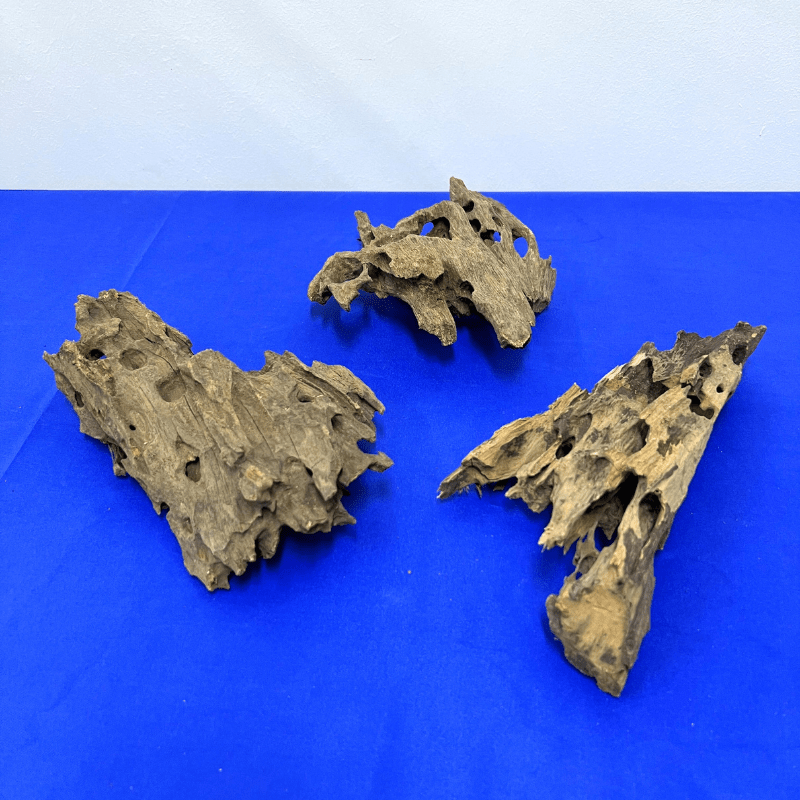 ANS Dragon Wood M (20-30cm)