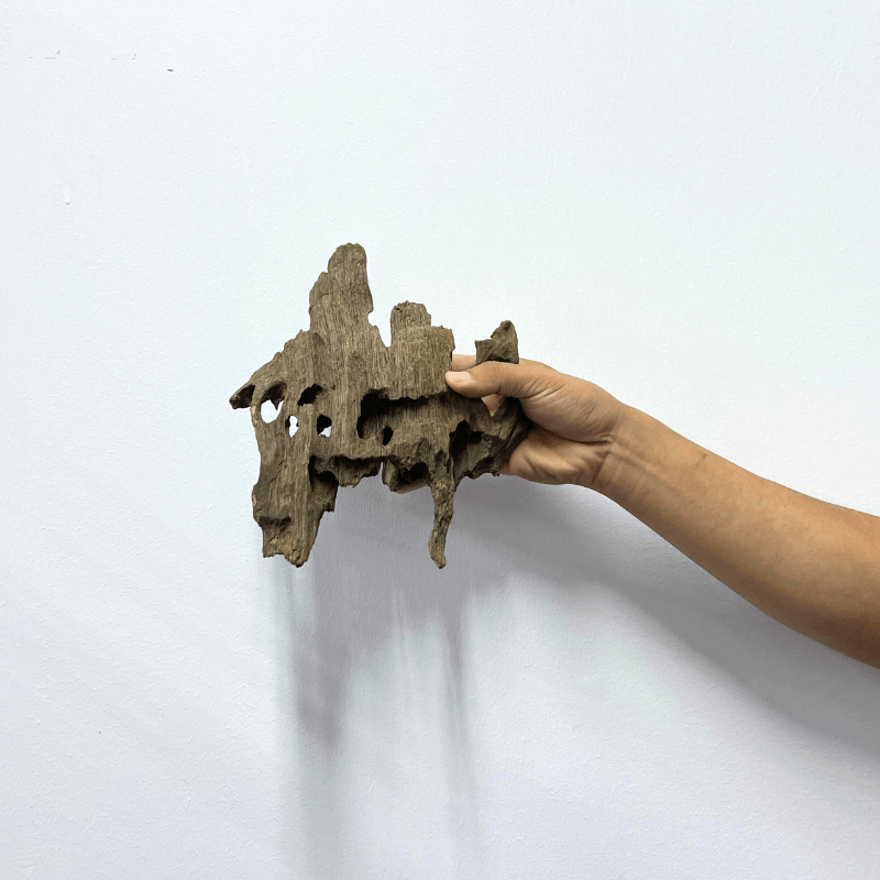 ANS Dragon Wood M (20-30cm)