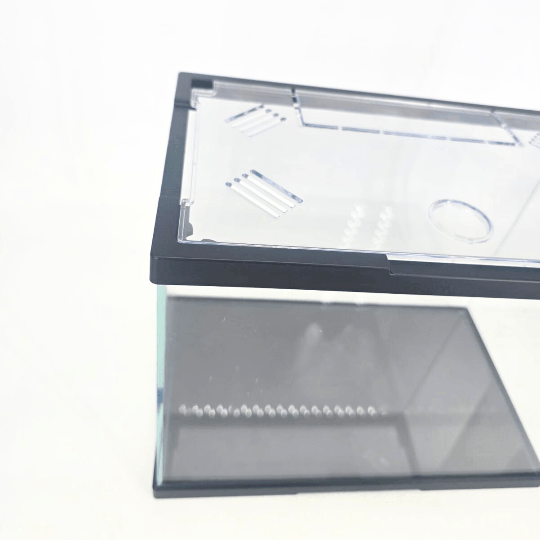 ANS Family Tank 30/40 (Black) with cover