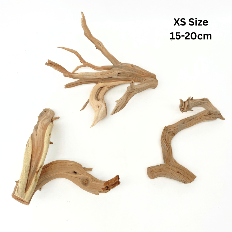 ANS Ghostwood Driftwood (Rare!)