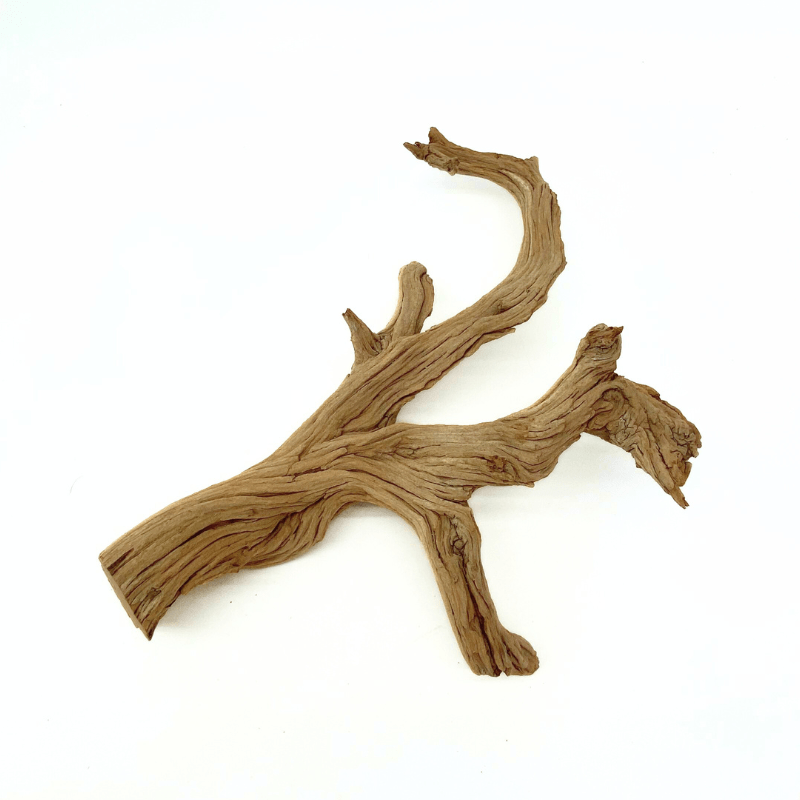 ANS Ghostwood Driftwood (Rare!)