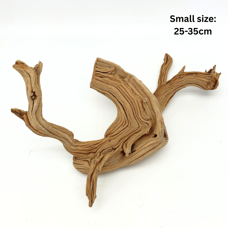 ANS Ghostwood Driftwood (Rare!)