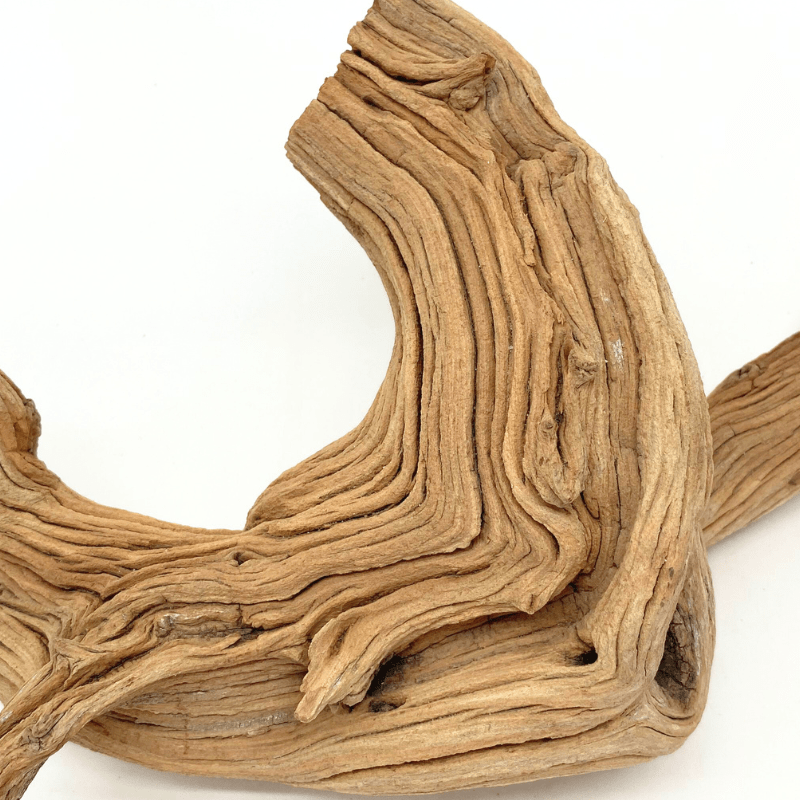 ANS Ghostwood Driftwood (Rare!)