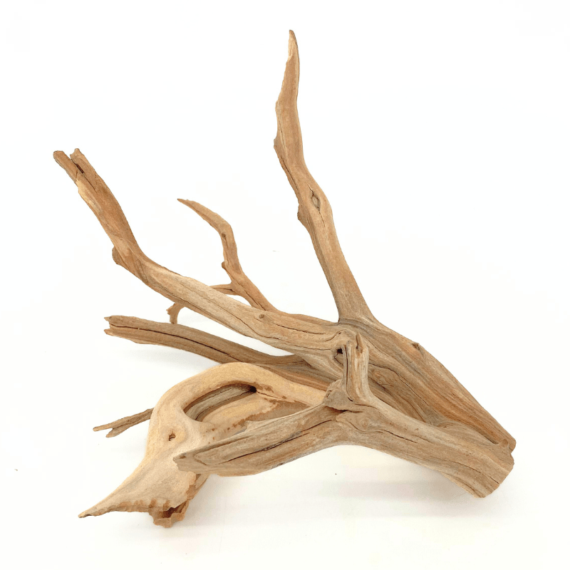 ANS Ghostwood Driftwood (Rare!)