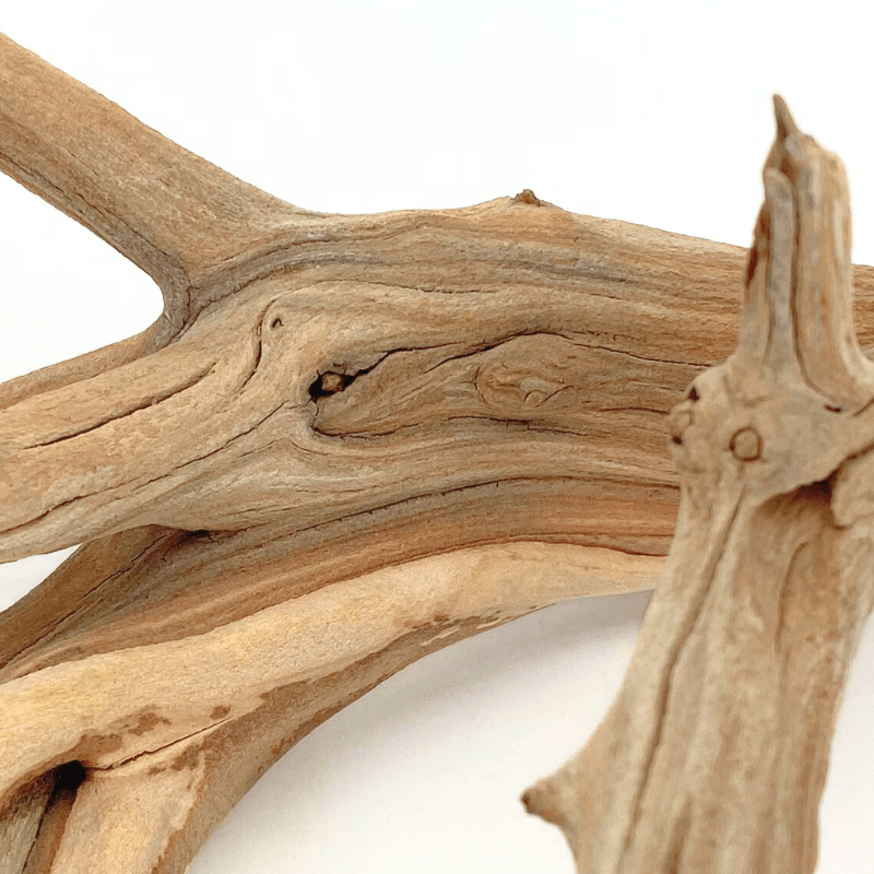 ANS Ghostwood Driftwood (Rare!)
