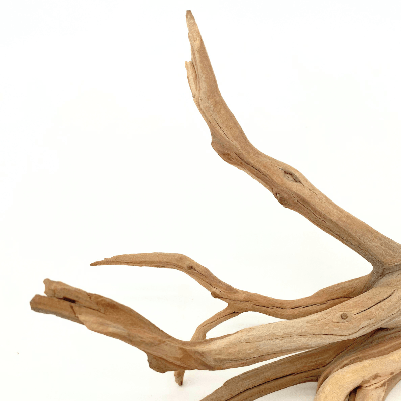 ANS Ghostwood Driftwood (Rare!)