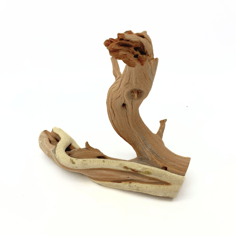 ANS Ghostwood Driftwood (Rare!)