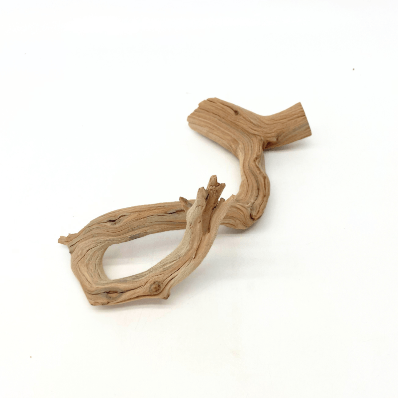 ANS Ghostwood Driftwood (Rare!)