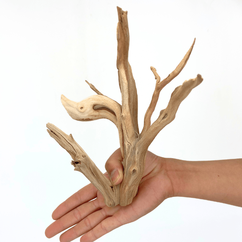 ANS Ghostwood Driftwood (Rare!)