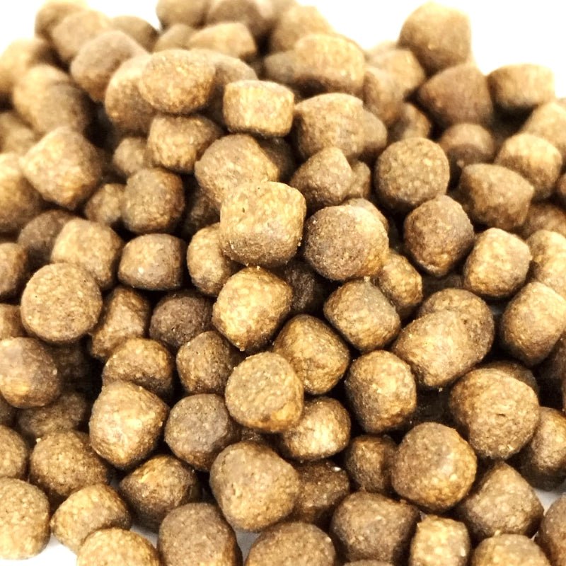 ANS Hi Protein Floating Pelletm 930G