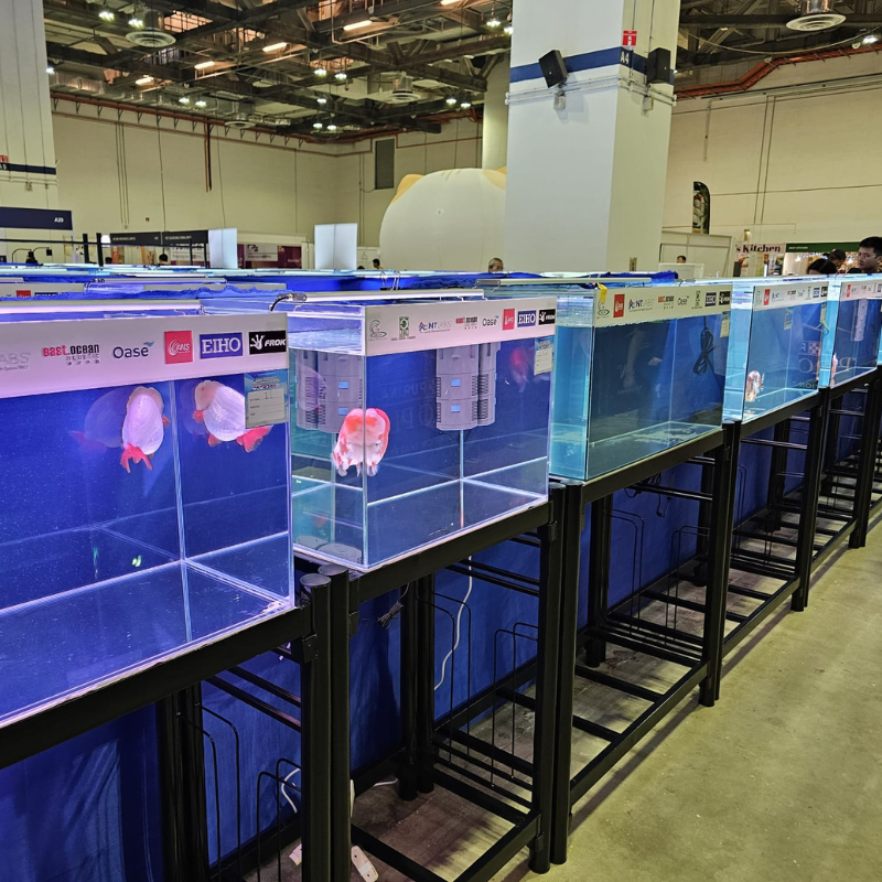 ANS Aquarium Tank + Aquarium Iron stand (Black)