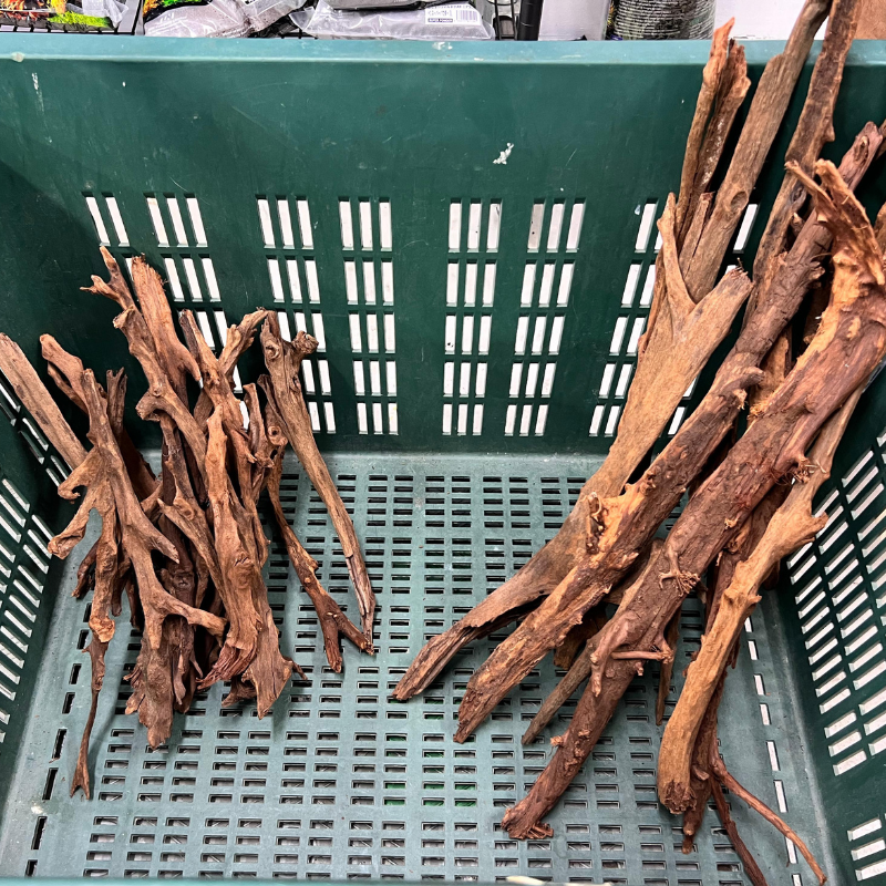 ANS Malayan Aquascape Stick L (40-60cm)