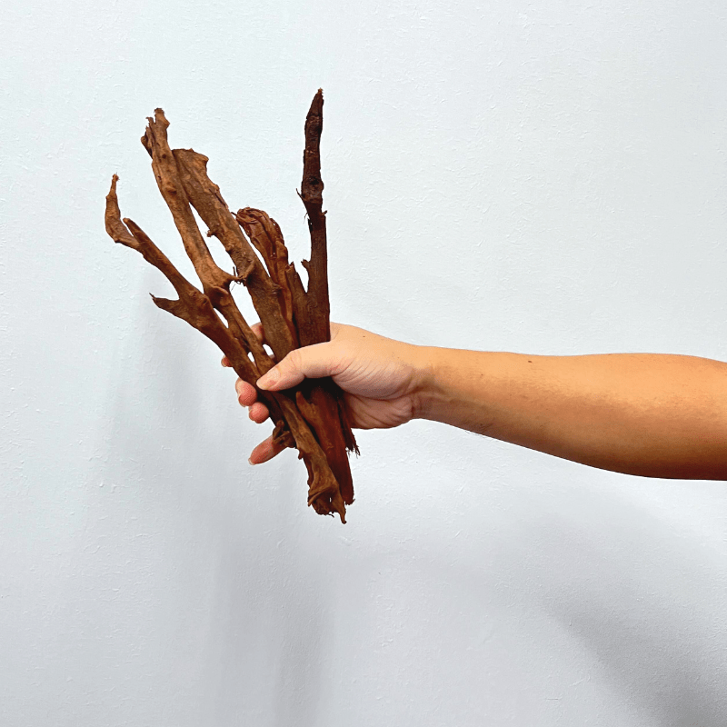 ANS Malayan Aquascape Stick M (20-40cm)