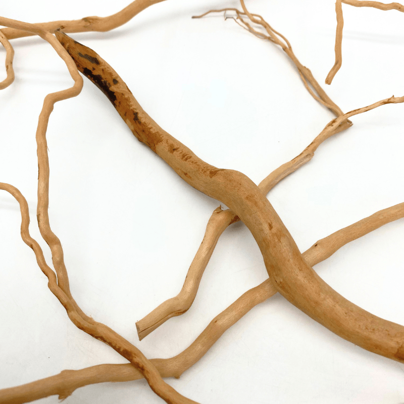 ANS Nature Twigs 100g/200g